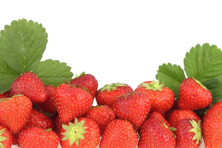 Banner of fresh ripe strawberriesの写真素材
