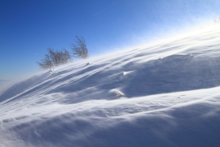  Snowstormの写真素材