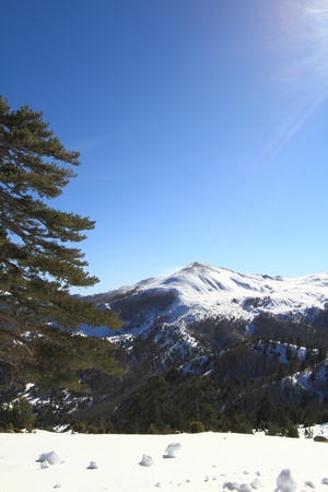 Winter landscapeの写真素材