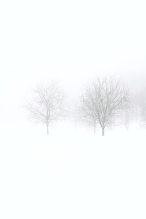  Winter landscapeの写真素材