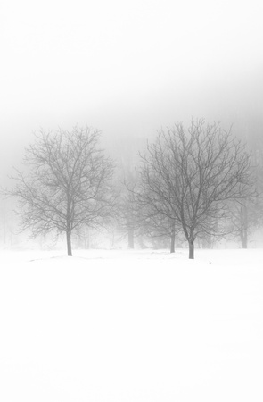  Winter landscapeの写真素材