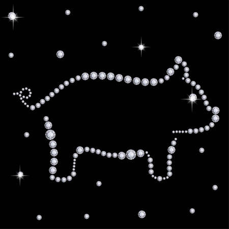 Diamond pigの写真素材
