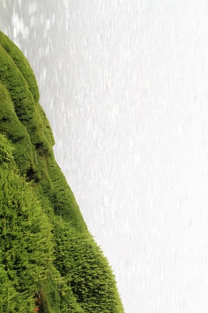 Green moss growing on the rocks against  waterfallの写真素材