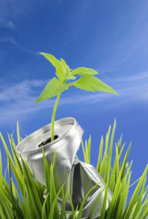 Aluminum can with growing plant on the green grassの写真素材