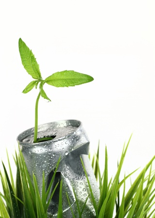Aluminum wet can with growing plant on the green grassの写真素材