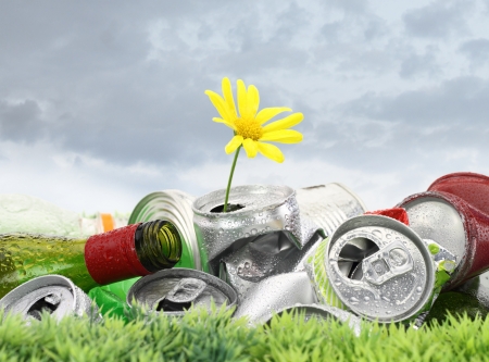 Garbage with growing daisy under storm cloudsの写真素材
