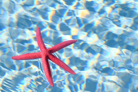 Summer backgroundの写真素材