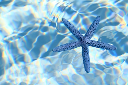 Summer backgroundの写真素材
