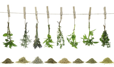 Fresh herbs hanging on a rope Fresh herbs hanging on a rope