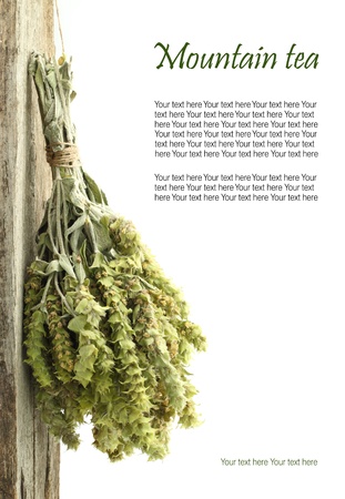  Dried mountain tea hanging from a rope with copy spaceの写真素材