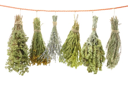Variety of dried herbs hanging on a ropeの写真素材