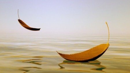 Autumn leaves floating on the water の写真素材