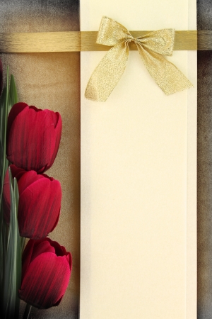 Empty banner and red tulips on vintage background の写真素材