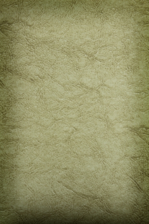 Leather texture backgroundの写真素材