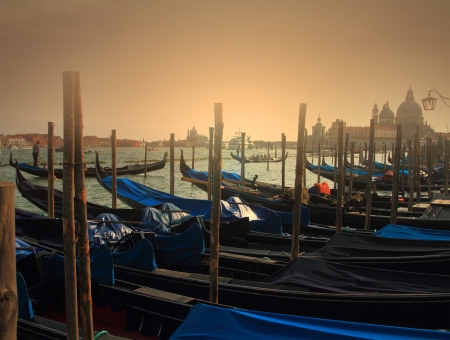 Traditional gondolas in Venice at duskの写真素材