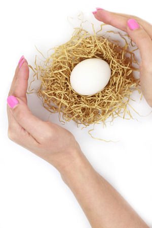 Female hands protecting egg inside nest isolated on white の写真素材
