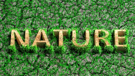 Wooden Eco word with grass on cracked earth の写真素材