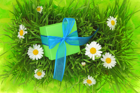 Gift box with ribbon on grass with daisy flowersの写真素材