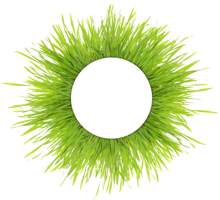Blank white round banner on green grass isolatedの写真素材