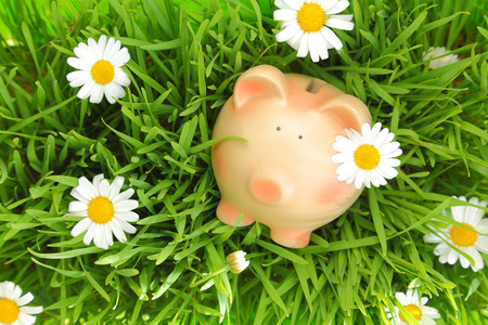Piggy bank on green grass with flowers background の写真素材