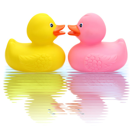 Rubber duck couple in loveの写真素材