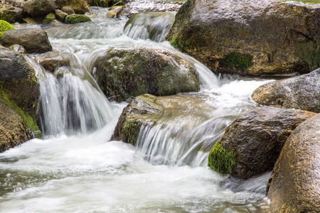 Nature landscape with trees and riverの写真素材