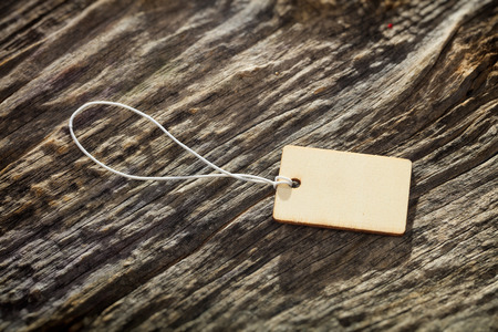Wooden tag with white rope on tree bark