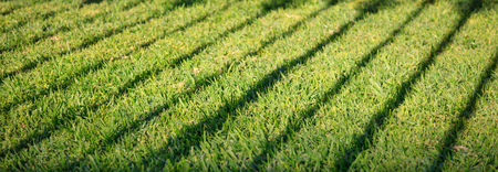 Green grass with dark shadow of banisters. Empty background, close up view with details, banner.