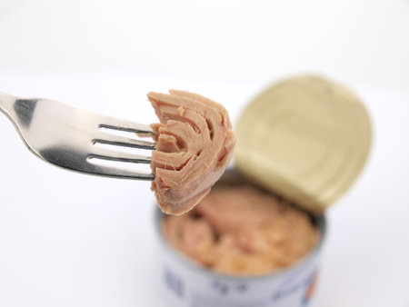 Canned tuna on a fork isolated on white background. Selective focus.の写真素材