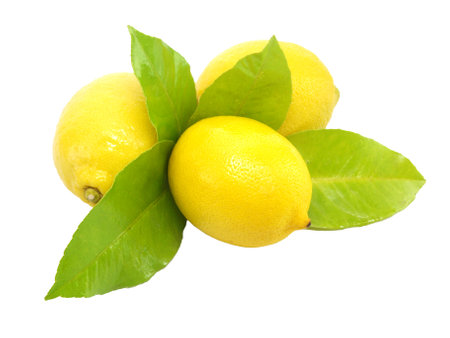 Lemons with green leaves isolated on transparent backgroundの写真素材