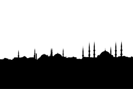 Istanbul cityscape, Turkey isolated on white transparent backgroundの写真素材