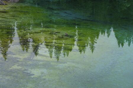 Picturesque peaks of Dolomites mountains in reflection of crystal clear pond surrounded by coniferous forest. Lake of Caresse in Italy. Scenic place and famous touristic destination. Primeval natureの写真素材