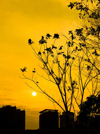a cloudy sunset landscape with sunの写真素材