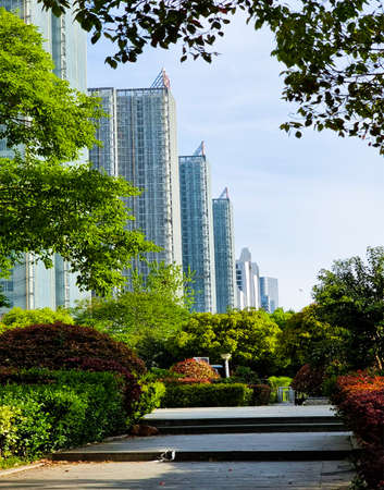 Modern glass silhouettes of skyscrapersの写真素材