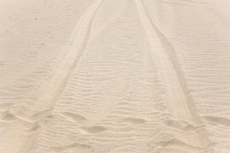 A sandy beach with a trail of footprints in the sand. The footprints are small and scattered,...