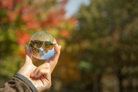 A man hold a crystal ball reflection of autumn backgroundの写真素材