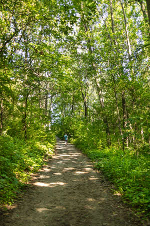 Man trekking alone on a natural park trail with branches of green trees covering pathway, beautiful and peaceful of perspective scene in spring and summer season. Outdoor activity, greenery landscape.の写真素材