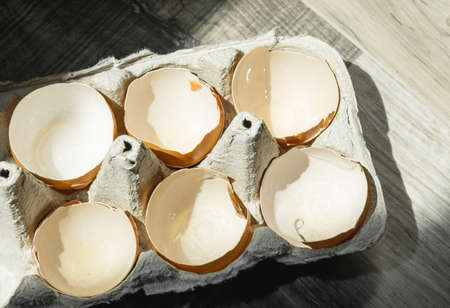 Half of dozen empty break eggshells in paper carton  cardboard on wooden table with natural sunlight, top view. Closeup group of cracked shells in recycle package. Fragility, divided, brittle concept.の写真素材