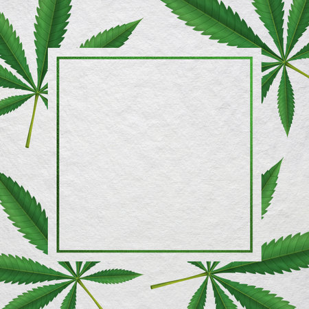 Cannabis leaf frame on white paper background. Realistic vector illustration.の写真素材