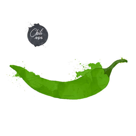 Green Chili pepper isolated on white background. watercolour style Vector illustration.のイラスト素材