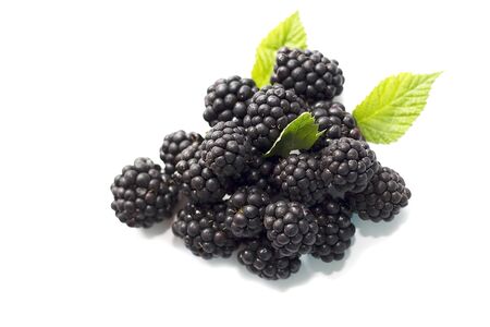 Fresh blackberry with green leaves isolated on white background. Top view. Flat lay pattern. Ripe blackberry fruits with leaves. Closeup shot of fresh berries.の写真素材