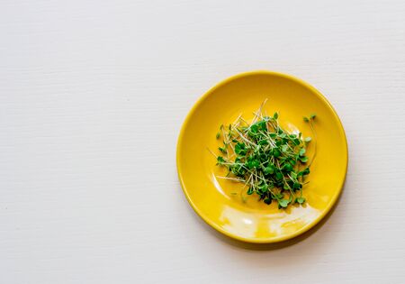 Ceramic plate with microgreen arugula sprouts isolated on wooden background. Top view, close-up. Microgreens, healthy eating concept.の写真素材