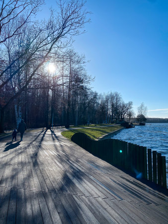 Wooden walkway on the shore of the lake in the springの写真素材