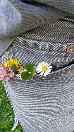 Close-up of wild flowers in a pocket of the jeans.の写真素材