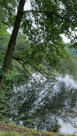 A view of a river flowing through a forest in the summer.の写真素材