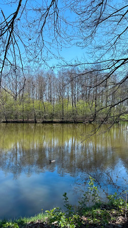Spring landscape with a pond and trees in the city park. Springtimeの写真素材