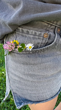 Close-up of a jeans pocket with daisy flower in the pocketの写真素材
