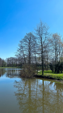Landscape in the park with a lake and trees on the shoreの写真素材