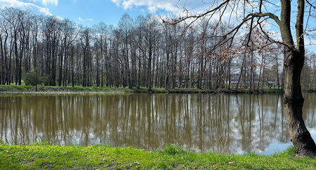 Lake and trees in the city park. Spring landscape with pond and trees.の写真素材