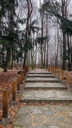 Stone stairs in the autumn park with fallen leaves on the ground.の写真素材